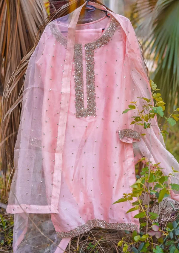 Zareen (Soft Pink)  Zardozi Embroidered Shirt